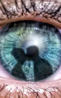 Horoscop chinezesc dragoste. Horoscop IANUARIE 2020, tensiuni si drame la inceput de an 