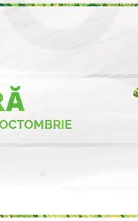 Horoscop lunar Octombrie 2019 Fecioară: schimbări pe plan material și social