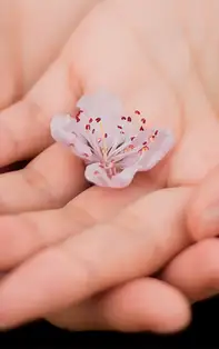 Ai inelul lui Venus în palmă? Vezi cât de sentimental, pasional sau infidel este cineva într-o relație