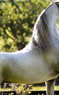 Ai probleme în relație? E posibil să ai relație karmică negativă