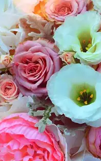 Legende străvechi – povestea lui Bujor, fiul de împărat transformat în floare