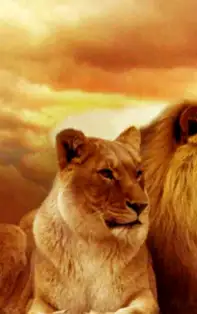 Pasiune și dezinvoltură – Leu, cum se exprimă cel mai bine acești nativi