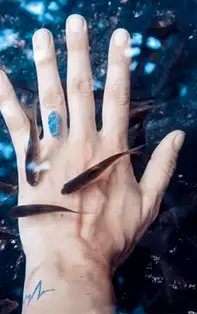 Cum să recunoști caracterul unei persoane după lungimea degetelor de la mâini