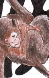 HOROSCOP CHINEZESC SĂPTĂMÂNAL 5-11 Martie 2018 pentru zodia Maimuță