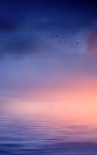 Afirmații pozitive. Adevarata mantră a zodiei tale pentru luna Iulie 2019