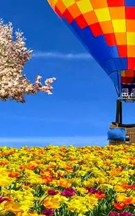 Afirmații pozitive. Adevărata mantră a zodiei tale pentru luna Mai 2019