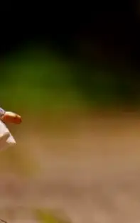 Mesaje surprinzătoare de la Îngerii Păzitori ai fiecărei zodii pentru luna Februarie