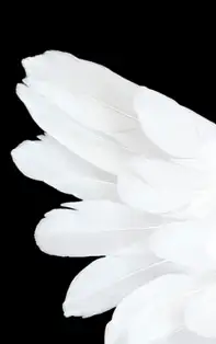 Mesaje unice de la ÎNGERII PĂZITORI ZODII, pentru luna IULIE 2019