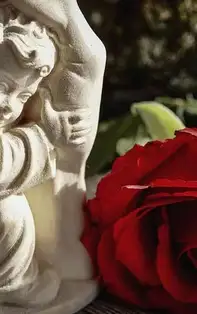 Mesaje de suflet de la ingeri pazitori zodii, pentru luna Martie 2020