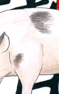 HOROSCOP CHINEZESC SĂPTĂMÂNAL 5-11 Martie 2018 pentru zodia Mistreț