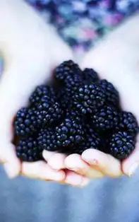 Murele – un mod prin care îți poți proteja organismul de îmbătrânirea prematură