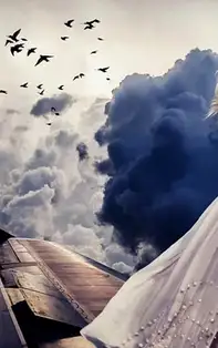 Nativii Varsator nascuti in anul Sobolanului: nonconformistii zodiacului, plini de vise si fantezii