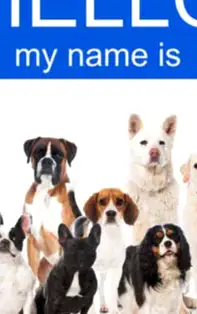 Nume de câini și semnificația numelui. Alege un nume prietenul tău patruped