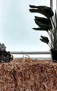 Oglinzi care atrag energia pozitiva. Totul despre oglinzile decorative