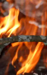 Ovidenia sau Intrarea Maicii Domnului în Biserică – obiceiuri de sănătate și belșug