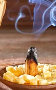Palo santo - beneficiile si proprietatile lemnului sfant