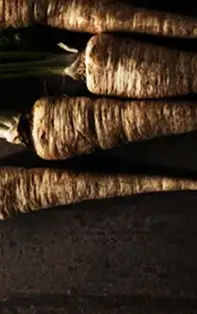 Păstârnacul – ajutorul tău în lupta cu bacteriile şi viruşii