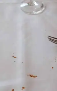 Cea mai bună soluție ca să elimini petele de sos