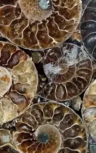 Feng Shui la birou – Descoperă cele mai bune 5 cristale aducătoare de noroc