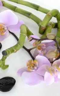 Ritualuri, tradiții și superstiții pentru femeile ce-și doresc să se căsătorească