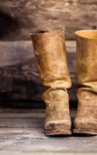 Despre motivare și implicare – povestea terapeutică „Răsplata”