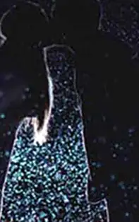 Aspecte astrologice în destin care ne marchează viața