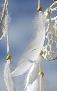 Previziuni pentru saptamana 20-26 Ianuarie 2020. Cifra care ofera garantia unei vieti imbelsugate