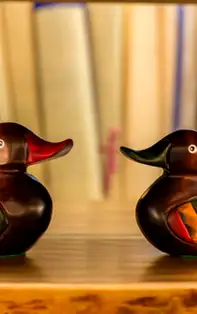 Legenda ratelor mandarin – simbol puternic pentru iubire 