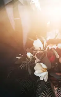 Cum să îți găsești jumătatea sau să îți oficializezi relația