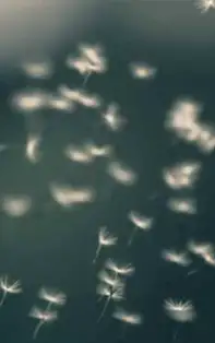 Fă această „novană” pentru îndeplinirea oricărei dorințe