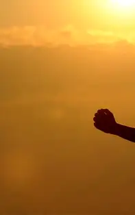 Horoscopul sănătății: Descoperă cum stă fiecare zodie de Aer la capitolul medical