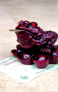 Broasca Feng Shui. Ce simbolizează și cum să o amplasezi pentru atragerea prosperității