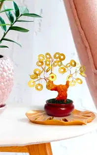 Copacul banilor Feng Shui. Cum te ajută să atragi prosperitatea în viața ta