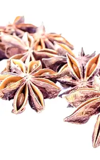 Seminte de anason – alimentele cu extrem de putine calorii