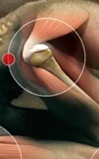 Corpul ne transmite frecvent semnale de alarmă! Află care sunt acestea