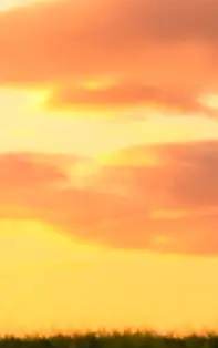 Zodiile de Pământ și singurătatea. Sfaturi în singurătate