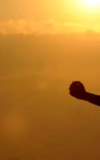 Află care sunt bolile la care ești predispus în funcție de ziua nașterii