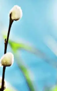 Starea vremii din luna aprilie 2018