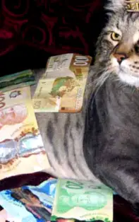 STATUSURI DE BANI pentru luna AUGUST 2018, zodiile care au șanse de îmbogățire