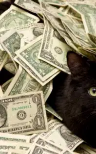 STATUSURI DE BANI pentru luna IUNIE 2018 potrivite fiecărei zodii