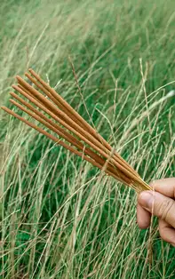 Sticksuri parfumate aromaterapie, Gama Hem profesională pentru aromaterapie, bețișoare Dhoop