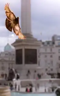 Superstiții și vorbe din bătrâni – 5 dintre cele mai vechi semne