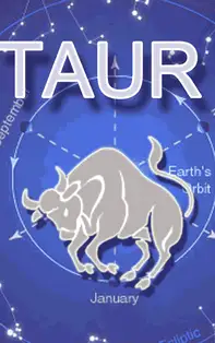 Taur în zodiacul chinezesc. Corespondența zodiei taur în zodiacul chinezesc