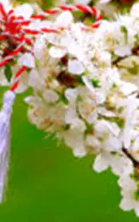 Înduplecă soarele să îți aducă iubire, fericire și sănătate! Tradiții de 1 Martie