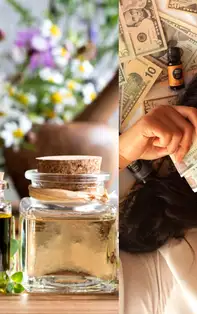 6 Uleiuri Esențiale pentru atragerea banilor în viața ta