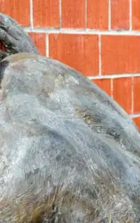 Vampiri energetici. Află de cine să te ferești – partea I