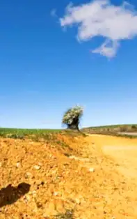 Multă energie psihică și surprize sentimentale pentru SĂGETĂTOR, generate de Venus retrograd