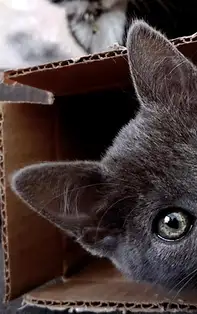 Calendar Aprilie 2019. Zile de coșmar, care atrag ghinionul