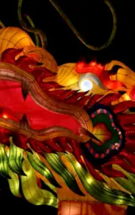 Iată cu cine să faci afaceri! - Zodiac Chinezesc DRAGON
