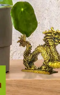 Amulete norocoase pentru Dragon, zodia atrasă de prosperitate financiară